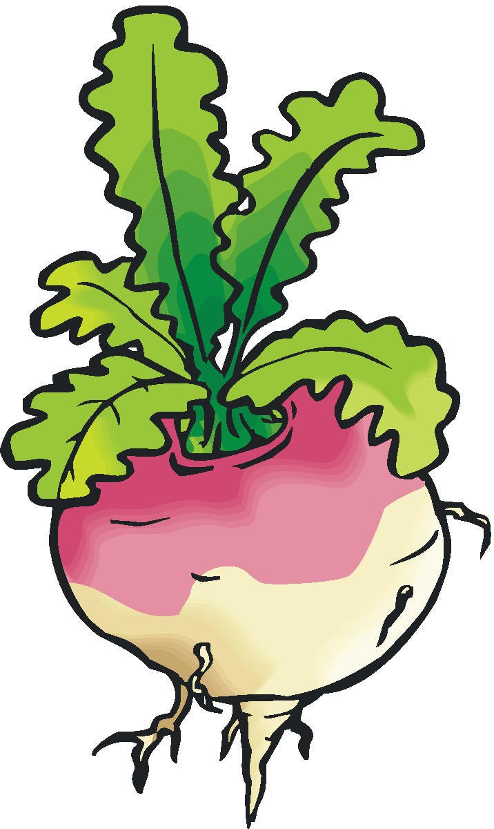One Turnip